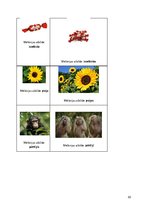 Prakses atskaite 'Ievads logopēdijā', 22.