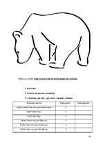 Prakses atskaite 'Ievads logopēdijā', 29.