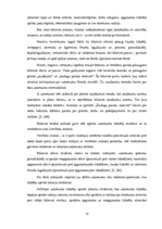 Diplomdarbs 'Uzņēmuma uzņēmējdarbības un finanšu analīze', 12.