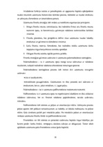 Diplomdarbs 'Uzņēmuma uzņēmējdarbības un finanšu analīze', 18.