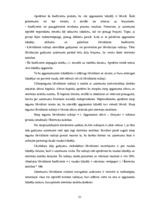 Diplomdarbs 'Uzņēmuma uzņēmējdarbības un finanšu analīze', 21.