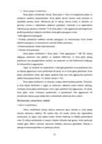 Diplomdarbs 'Uzņēmuma uzņēmējdarbības un finanšu analīze', 25.