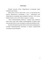 Referāts 'Маркетинговое исследование рынка мобильной связи Латвии', 3.