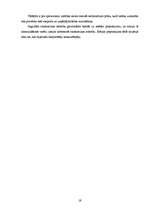 Referāts 'Centrālās bankas nozīme mūsdienu ekonomikā', 19.