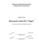 Biznesa plāns 'Veikals "Peppa"', 1.