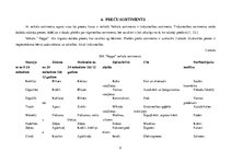 Biznesa plāns 'Veikals "Peppa"', 9.