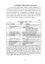 Biznesa plāns 'Veikals "Peppa"', 23.