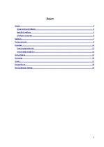 Referāts 'Pašizpētes darbs', 2.