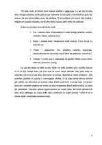 Referāts 'Pašizpētes darbs', 8.