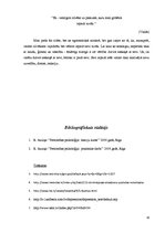 Referāts 'Pašizpētes darbs', 19.