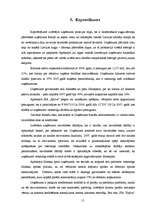 Referāts 'Sabiedrības ar ierobežotu atbildību "Spilva" finansiālā stāvokļa novērtējums', 15.