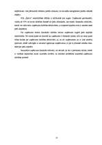 Referāts 'Sabiedrības ar ierobežotu atbildību "Spilva" finansiālā stāvokļa novērtējums', 16.