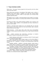 Biznesa plāns 'SIA „Toto”', 28.