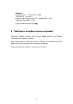 Biznesa plāns 'SIA „Toto”', 32.