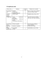 Biznesa plāns 'SIA „Toto”', 39.