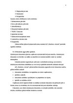 Prakses atskaite 'Grāmatvedības paņēmienu pielietojums', 8.