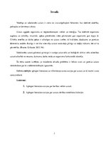 Referāts 'Uztura nozīme svara regulēšanā', 3.