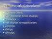 Prezentācija 'A.Kamī romāna "Mēris" Rambēra tēla raksturojums', 5.