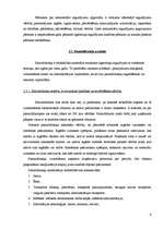 Prakses atskaite 'Prakse finanšu grāmatvedībā', 8.