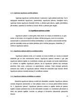 Prakses atskaite 'Prakse finanšu grāmatvedībā', 13.