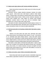 Prakses atskaite 'Prakse finanšu grāmatvedībā', 19.