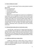 Prakses atskaite 'Prakse finanšu grāmatvedībā', 22.