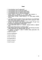 Prakses atskaite 'Prakse finanšu grāmatvedībā', 29.