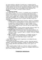 Prakses atskaite 'A/S „Rīgas Piensaimnieks”', 3.