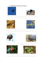 Konspekts 'Darba uzdevumi vides izzināšanai Slīteres nacionālajā parkā', 5.