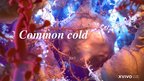 Prezentācija 'Common Cold', 1.