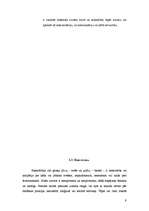 Konspekts 'Transkulturālā aprūpe', 9.