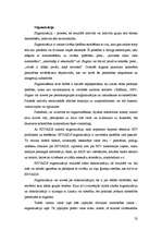 Konspekts 'Transkulturālā aprūpe', 32.