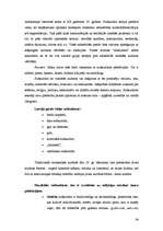 Konspekts 'Transkulturālā aprūpe', 34.