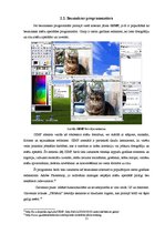 Referāts 'Rastra grafika mājaslapas dizainā', 11.