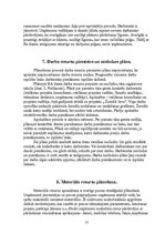 Referāts 'Darba produktivitātes paaugstināšanas plāns uzņēmumā "Reklāmas aģentūra Santa"', 13.