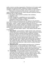 Referāts 'Darba produktivitātes paaugstināšanas plāns uzņēmumā "Reklāmas aģentūra Santa"', 14.