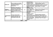 Referāts 'Darba produktivitātes paaugstināšanas plāns uzņēmumā "Reklāmas aģentūra Santa"', 33.