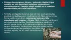 Prezentācija 'Tirgus un konkurences veidi', 11.