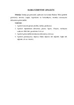 Konspekts 'Naudas līdzekļu un norēķinu uzskaite komandējumos', 2.