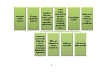 Konspekts 'Naudas līdzekļu un norēķinu uzskaite komandējumos', 5.