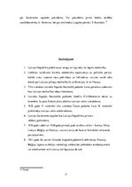 Referāts 'Latvijas Republikas proklamēšana un pirmie tiesību akti Latvijas Republikā', 11.