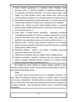 Prakses atskaite 'Prakse uzņēmumā', 33.