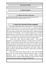 Prakses atskaite 'Prakse uzņēmumā', 39.