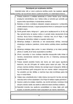 Prakses atskaite 'Prakse uzņēmumā', 41.