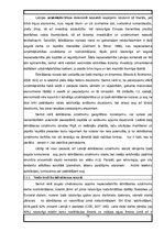 Prakses atskaite 'Prakse uzņēmumā', 74.