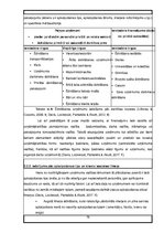 Prakses atskaite 'Prakse uzņēmumā', 78.