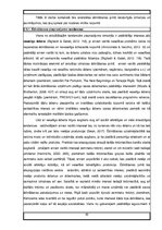 Prakses atskaite 'Prakse uzņēmumā', 82.