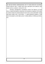 Prakses atskaite 'Prakse uzņēmumā', 89.