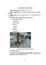 Referāts 'Raugu attīstības intensitāte ābolu sulas fermentācijas procesā', 10.