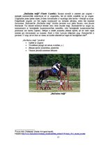 Referāts 'Rekreatīvo aktivitāšu piedāvājuma izstrāde Raunas pašvaldībai', 17.